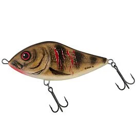 eurotackle202606031853002379363