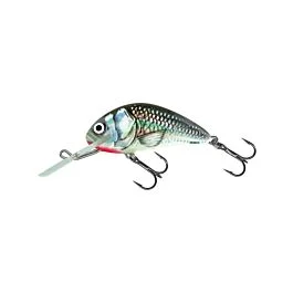 eurotackle202606031858542385113