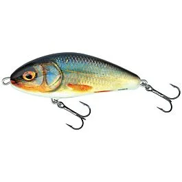 eurotackle202606031907182392536