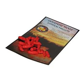 eurotackle202606031907592393200
