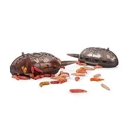 eurotackle202606031917402402446