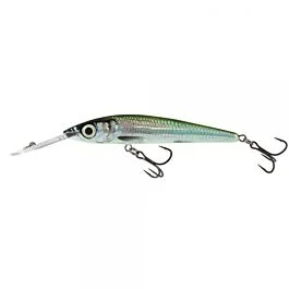 eurotackle202606031923562408680