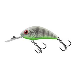 eurotackle202606031924422409465