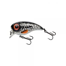 eurotackle202606031931052415492