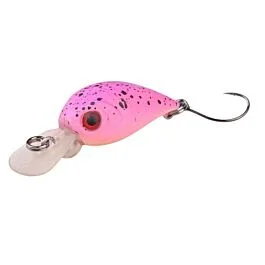 eurotackle202606031933492418066