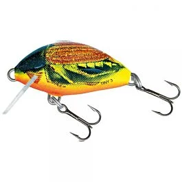eurotackle202606031937032421133