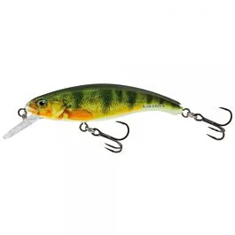 eurotackle202606031937052421160