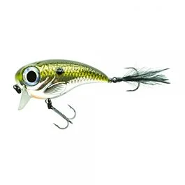 eurotackle202606031938362422601