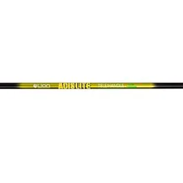 eurotackle202606031942552426690