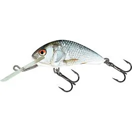 eurotackle202606031950102433164