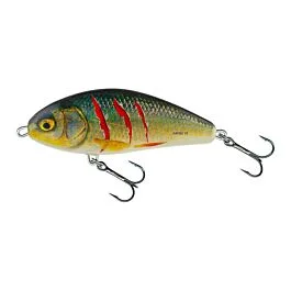 eurotackle202606031954182436790