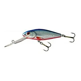 eurotackle202606031956072438334