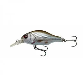 eurotackle202606031956442438860