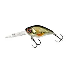 eurotackle202606031957202439375