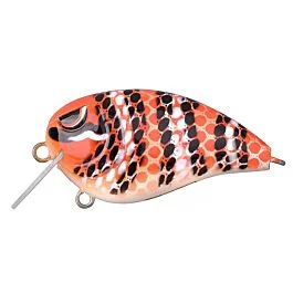 eurotackle202606031957302439516