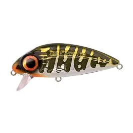 eurotackle202606031958542440592
