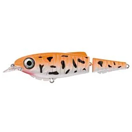 eurotackle202606032004452445091