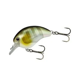 eurotackle202606032011352450432
