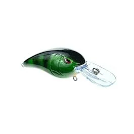 eurotackle202606032011412450508