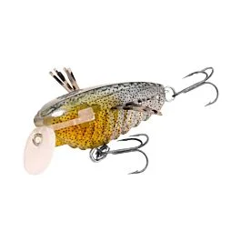 eurotackle202606032018302455865