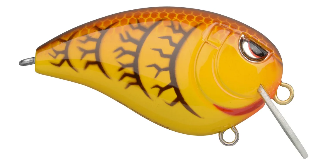 fishstorexl202606031816182344093