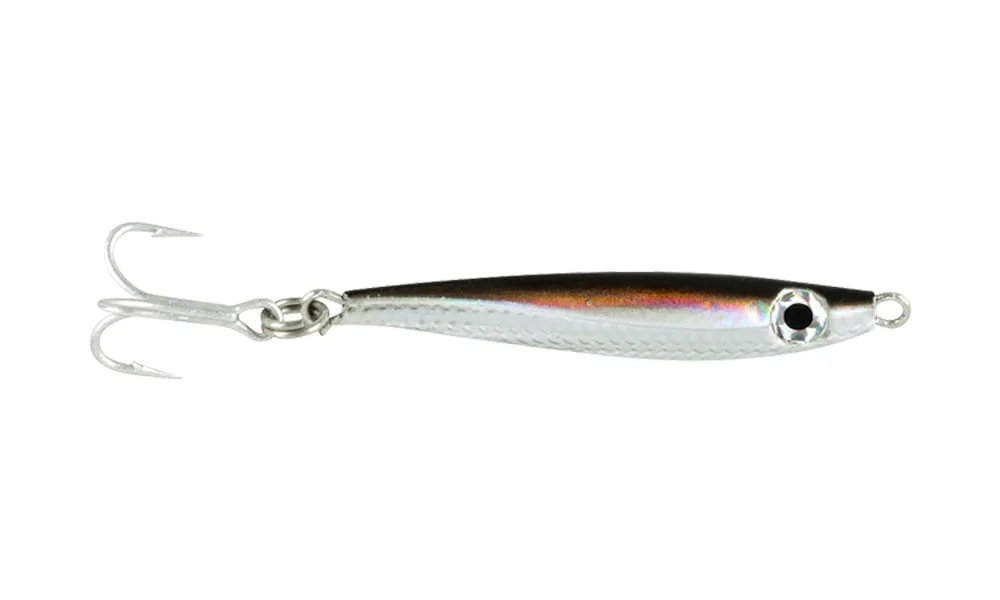 fishstorexl202606031818102346009