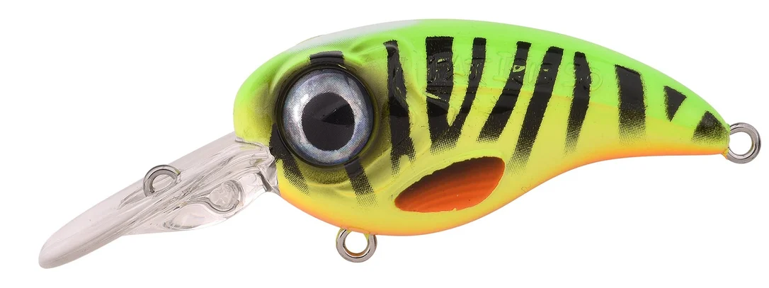fishstorexl202606031819422347604