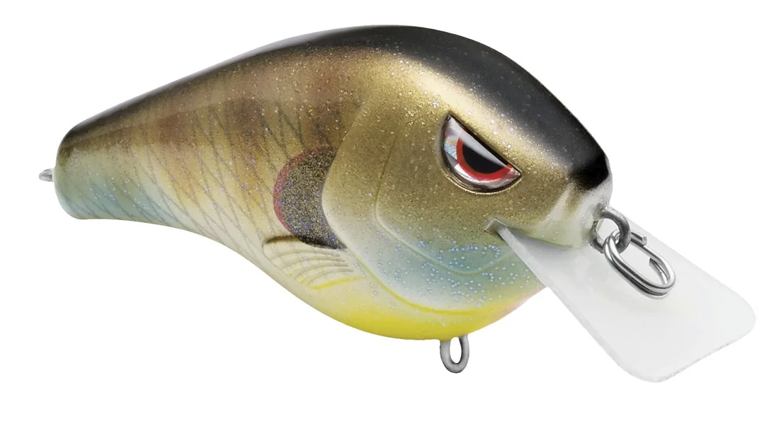 fishstorexl202606031819552347815