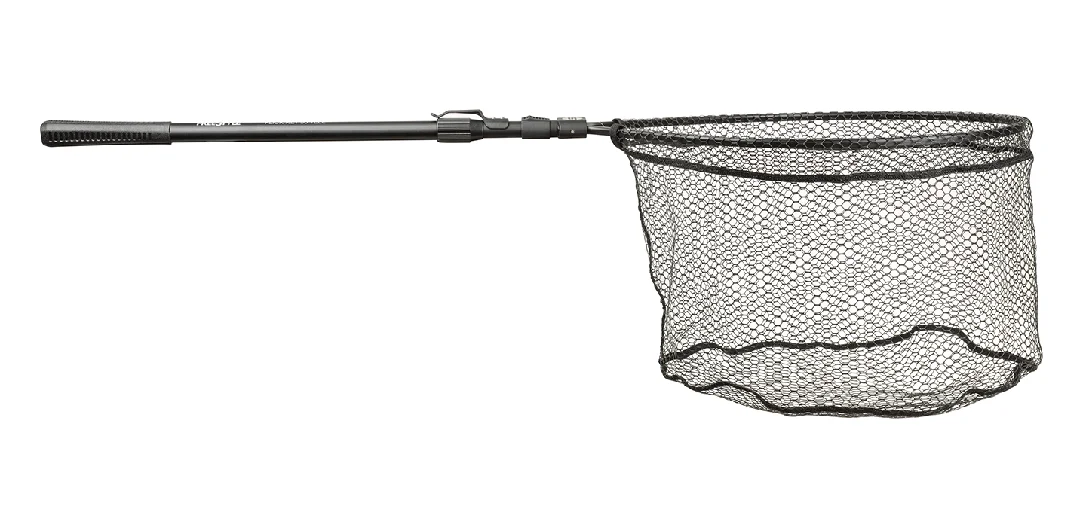 fishstorexl202606031820082348036