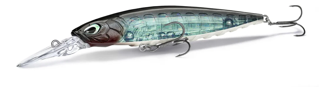 fishstorexl202606031825552353716