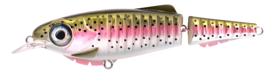 fishstorexl202606031828522356576