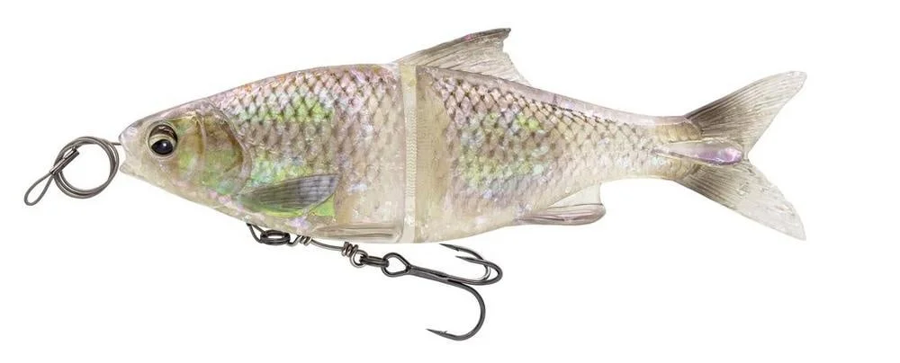fishstorexl202606031829492357532
