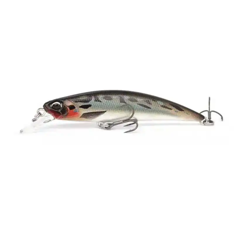 hengelsportfauna202606031952162434980