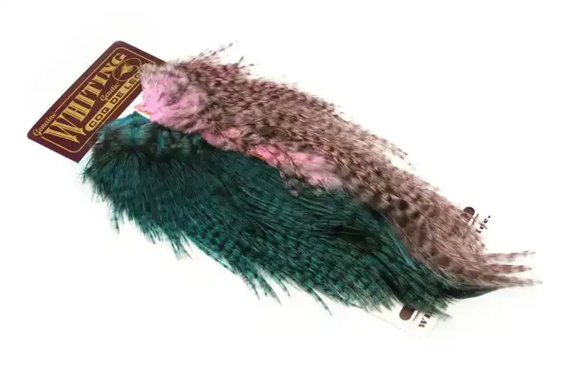 hengelsportfauna202606032042122473048
