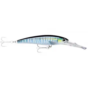 pecheur-store-1202606032015422453618