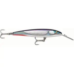 pecheur-store-1202606032026332461905