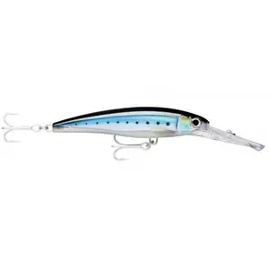 pecheur-store-1202606032049442478203