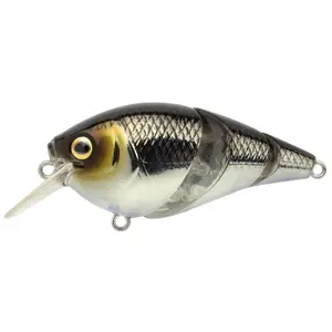 pecheur-store-1202606032116482496488