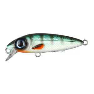 pecheur-store-1202606032126162501918