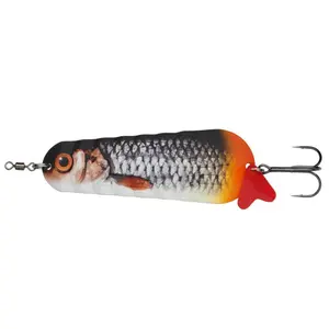 pecheur-store-1202606032210512521259