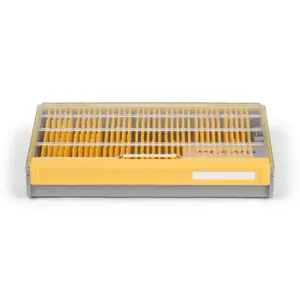 pecheur-store-1202606032218502524251