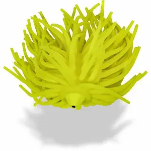 pecheur-store-1202606032230092528989