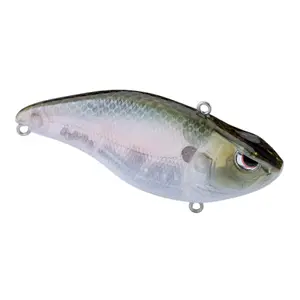 pecheur-store-1202606032243142534459