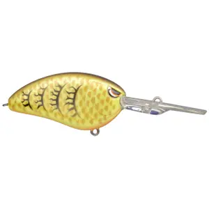 pecheur-store-1202606032243312534576