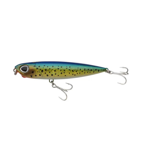 raven202606031817322345339