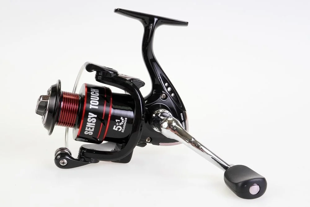reniersfishing202606031739242323857