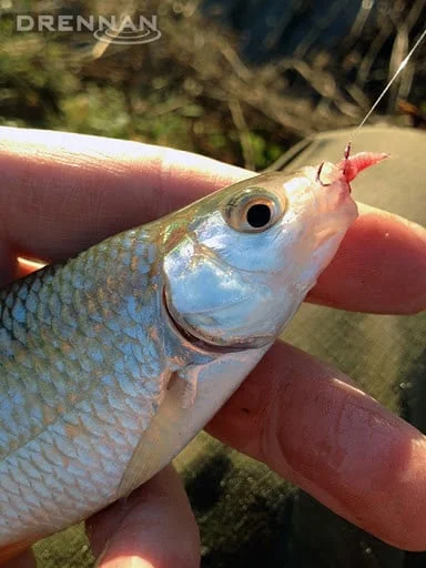 reniersfishing202606031807482336402