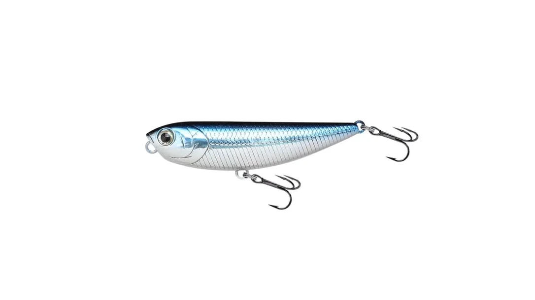 reniersfishing202606031851072377547