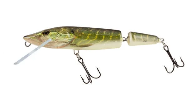 reniersfishing202606031907432392931