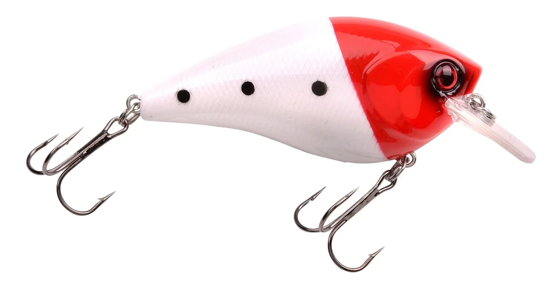 reniersfishing202606031908552394086